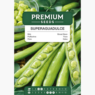 Fave - Superaguadulce - Fava spagnola a baccelli lunghi
