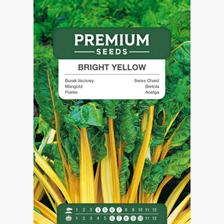 Bietola - Bright Yellow - Colore intenso, sapore delicato
