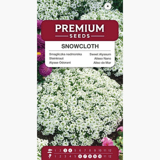 Alisso Nano - Snowcloth - Abbondante di fiori e facile da coltivare - Lobularia maritima