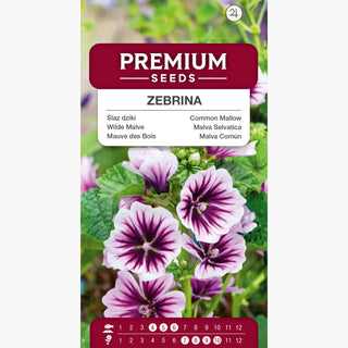 Malva Selvatica - Zebrina - Crescita vigorosa e rapida, fiori striati - Malva sylvestris