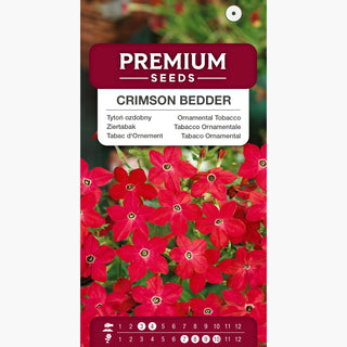 Tabacco Ornamentale - Crimson Bedder - Colore intenso, profumo dolce - Nicotiana alata