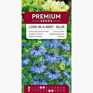 Nigella di Damasco - Blu - Fascino dei fiori azzurri - Nigella damascena
