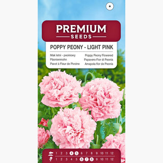 Papavero Fior di Peonia - Rosa Chiaro - Eleganza pastello delicata - Papaver paeoniflorum