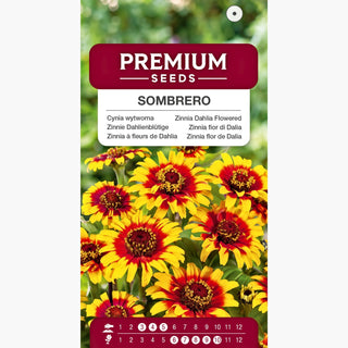 Zinnia fior di Dalia - Sombrero - Miscela di calde tonalità messicane - Zinnia elegans