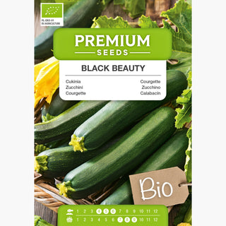 BIO Zucchino Black Beauty - Gustosa, resistente - zucchina versatile