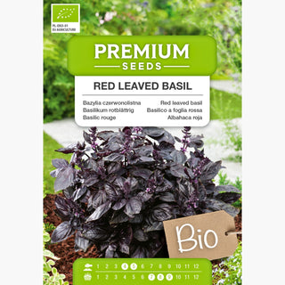 BIO Basilico a foglia rossa - Aroma intenso, tocco originale per il pesto - Ocimum basilicum