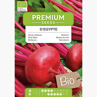 BIO Bietola da orto - D'Egypte - Dolce e raccolto sicuro da semi biologici