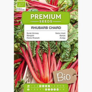 BIO Bietola Rhubarb Chard - Foglie colorate ricche di vitamine