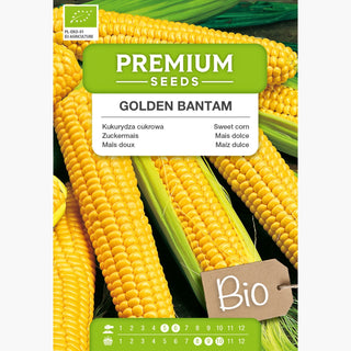 BIO Mais dolce - Golden Bantam - Sana e perfetta per la cottura e alla griglia