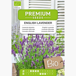 BIO Lavanda officinale - Profumo rilassante, proprietà preziose - Lavandula officinalis