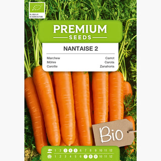 BIO Carota Nantaise 2 - Carota precoce dal sapore succoso