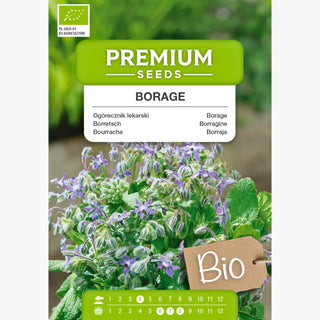 BIO Borragine - Bella e utile pianta mellifera - Borago officinalis