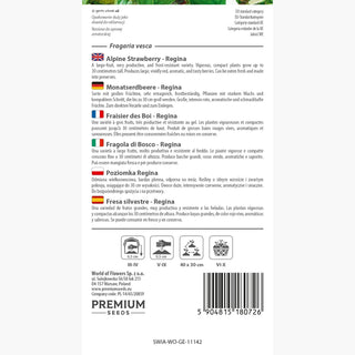 Fragola di Bosco - Regina - Crescita vigorosa, estremamente produttiva e aromatica - Fragaria vesca