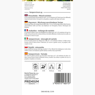 Sempervivum - miscuglio di varietà - Decorazione per contenitori, resistente al gelo - Sempervivum sp.