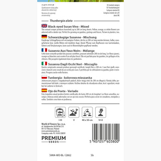 Susanna Dagli Occhi Neri - Miscuglio - Facile da coltivare con fusti fino a 3 metri - Thunbergia alata