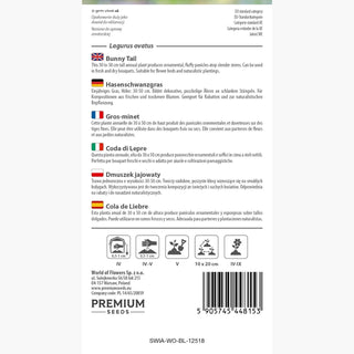 Coda di Lepre - Piume soffici e estremamente ornamentali - Lagurus ovatus