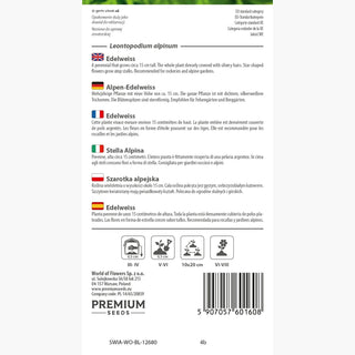 Stella Alpina - Perenne, resistente pianta da roccia - Leontopodium alpinum