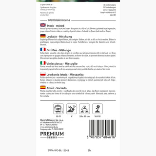 Violacciocca - Decorazione estiva in stile classico - Matthiola incana