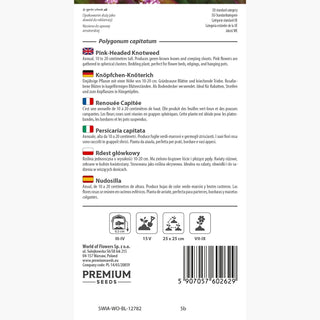 Renouée Capitée – Resistente, decorativa e a crescita rapida – Polygonum capitatum – Sementi Premium