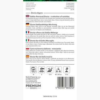 Zinnia fior di Dalia miscuglio - Decorazione regale delle aiuole estive! - Zinnia elegans