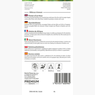 Ibisco Vescicoso - Adatta al clima caldo ornamentale per aiuole - Hibiscus trionum