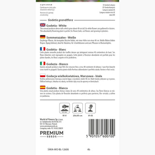 Godezia - Bianco - Decorazione delicata e classica per aiuole - Godetia grandiflora