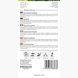 Cavolo Ornamentale - Decorazione multicolore per ogni stagione! - Brassica oleracea