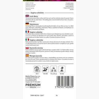 Sagina subulata - Pianta ornamentale ideale per bordure e aiuole - Sagina subulata