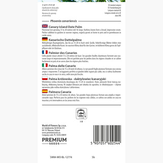 Palma delle Canarie - Perenne, esotica, resistente - Phoenix canariensis