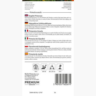 Primula dei Giardini - Infiorescenze ad ombrello per bordure - Primula acaulis