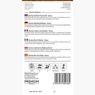 Zinnia fior di Dalia - Envy - Verde lime unico dei fiori - Zinnia elegans