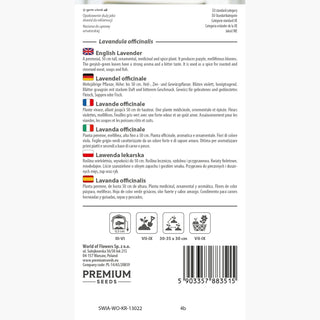 Lavanda officinale - Regina aromatica dei giardini - Lavandula officinalis