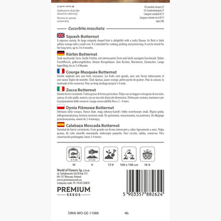 Zucca Butternut - Eccezionalmente gustosa e salutare - Cucurbita moschata