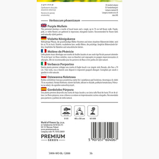 Verbasco Porporino - Si presenta bene in gruppo - Verbascum phoeniceum