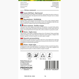 Ricino - foglie rosse - Aspetto spettacolare, facile da coltivare - Ricinus communis