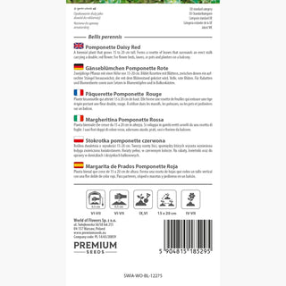 Margheritina Pomponette Rossa - Grappoli di fiori pieni, bassa altezza, ideale per bordure e contenitori - Bellis perennis