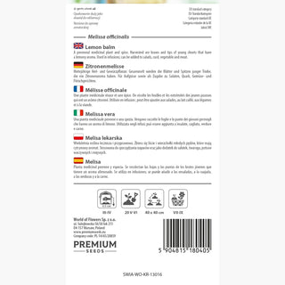 Melissa vera - Aromatica, calmante e abbassa la pressione sanguigna - Melissa officinalis