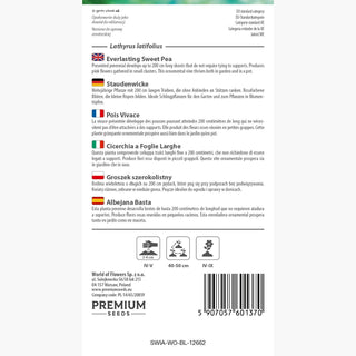 Cicerchia a Foglie Larghe - Piselli da cucina e da aiuola - Lathyrus latifolius