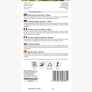 Susanna Dagli Occhi Neri - Bianco - Decorativa, perfetta per balcone e terrazza - Thunbergia alata