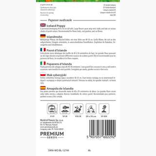 Papavero d'Islanda - Affascinante, multicolore e resistente - Papaver nudicaule