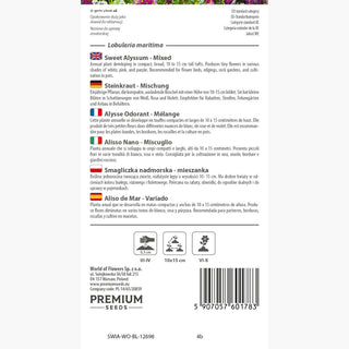 Alisso Nano - Miscuglio - Pianta vigorosa, ben ramificata e compatta - Lobularia maritima