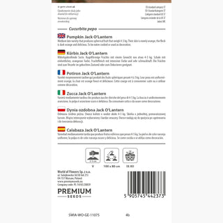 Zucca Jack O'Lantern - Ideale per lanterne e decorazioni, frutti fino a 10 kg