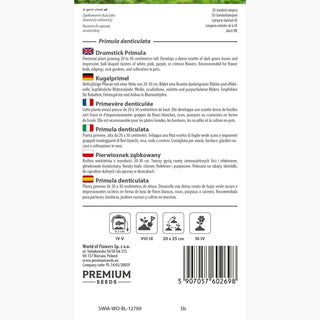 Primula denticulata - Pianta perenne ornamentale per aiuole e giardini rocciosi - Primula denticulata