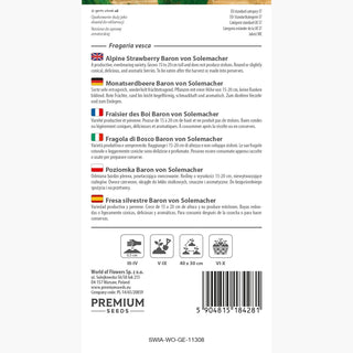 Fragola di Bosco - Baron von Solemacher - Frutti produttivi e gustosi, ideale per coltivazione amatoriale - Fragaria vesca
