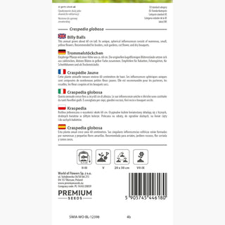 Craspedia globosa - Mazzi di fiori sferici gialli, super belli e sorprendenti! - Craspedia globosa