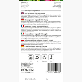Geranio Edera - Speedy Miscuglio - Perfetta per vasi sospesi - Pelargonium peltatum