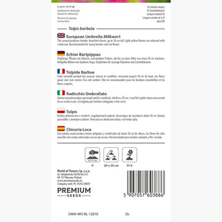 Radicchio Ombrellato - Bassa, resistente e perenne a lunga fioritura - Tolpis barbata