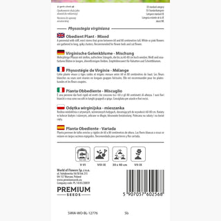 Pianta Obbediente - Miscuglio - Miscela di colori pastello - Physostegia virginiana