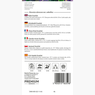Cavolo riccio Scarlet - Decorazione commestibile per l’orto