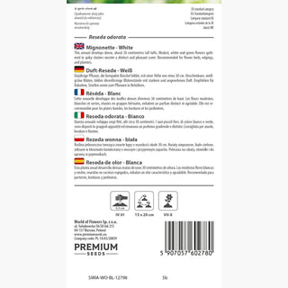 Reseda odorata - Bianco - Classico profumato dei giardini rustici - Reseda odorata